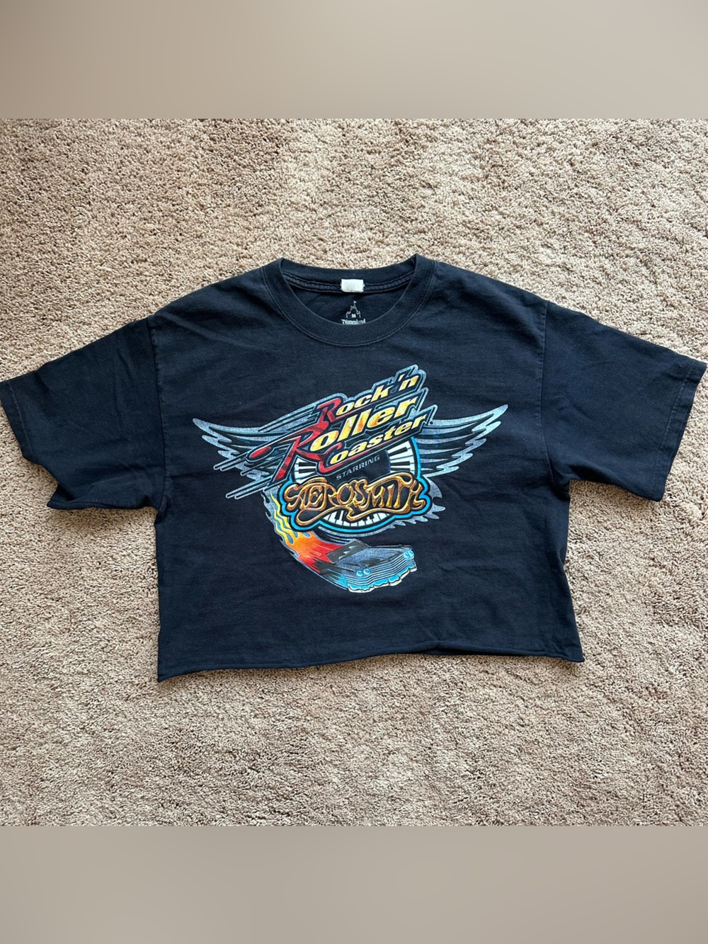 DISNEY AEROSMITH vintage Rock 'n Roller Coaster Graphic Crop Tee